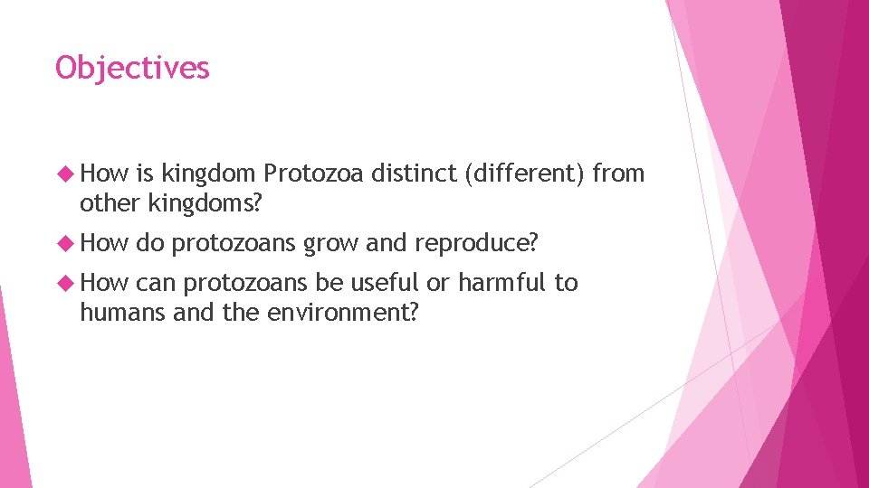 Objectives How is kingdom Protozoa distinct (different) from other kingdoms? How do protozoans grow