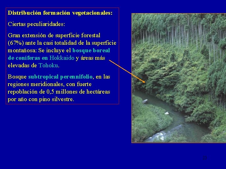 Distribución formación vegetacionales: Ciertas peculiaridades: Gran extensión de superficie forestal (67%) ante la casi