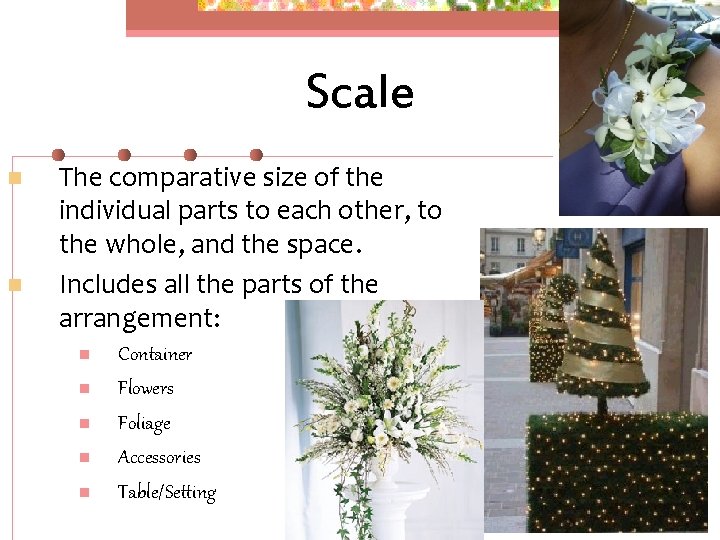 Scale n n The comparative size of the individual parts to each other, to