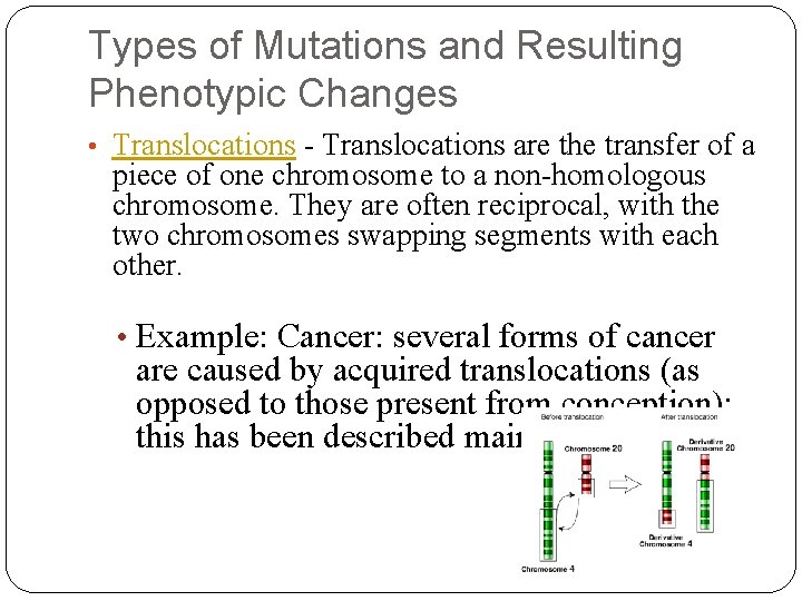 Types of Mutations and Resulting Phenotypic Changes • Translocations - Translocations are the transfer