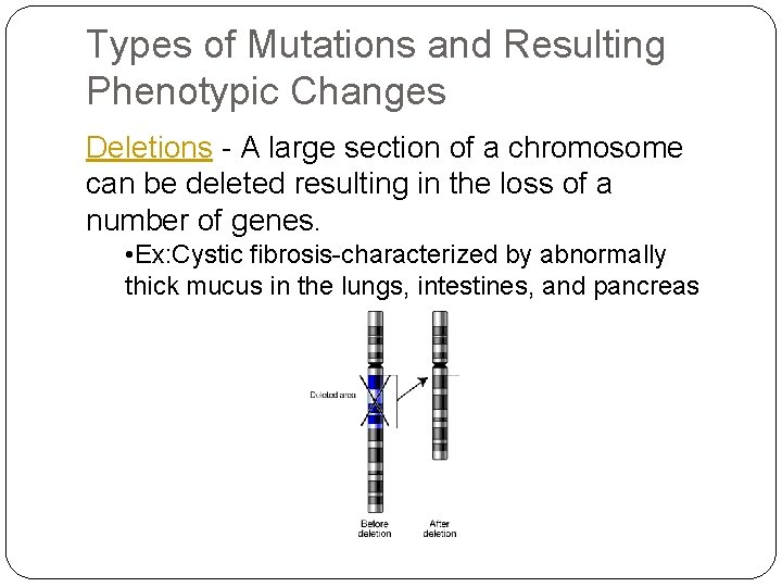 Types of Mutations and Resulting Phenotypic Changes Deletions - A large section of a