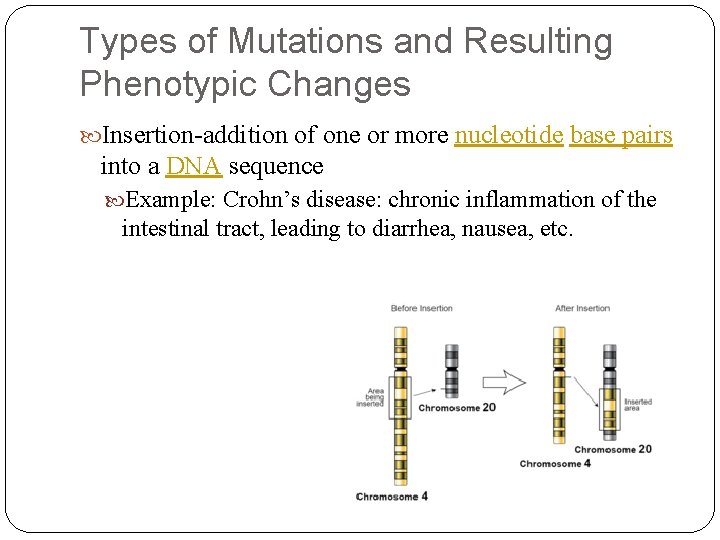 Types of Mutations and Resulting Phenotypic Changes Insertion-addition of one or more nucleotide base