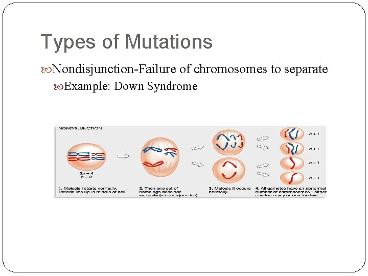 Types of Mutations Nondisjunction-Failure of chromosomes to separate Example: Down Syndrome 