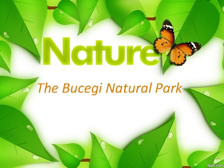 The Bucegi Natural Park 