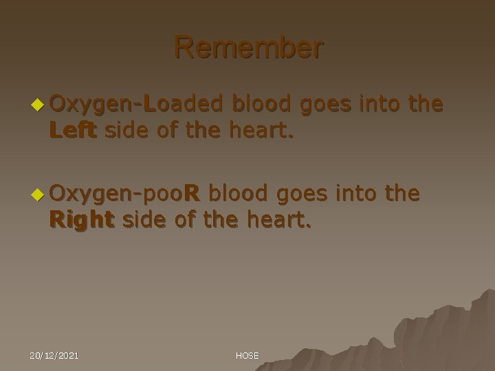 Remember u Oxygen-Loaded blood goes into the Left side of the heart. u Oxygen-poo.