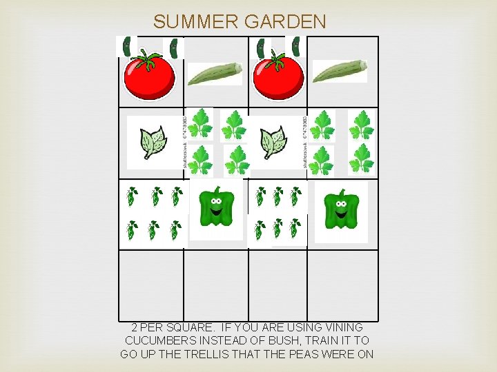 SUMMER GARDEN 2 PER SQUARE. IF YOU ARE USING VINING CUCUMBERS INSTEAD OF BUSH,