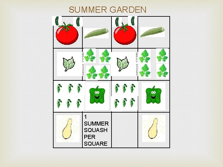 SUMMER GARDEN 1 SUMMER SQUASH PER SQUARE 