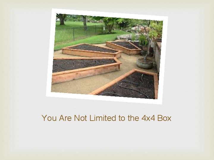 You Are Not Limited to the 4 x 4 Box 