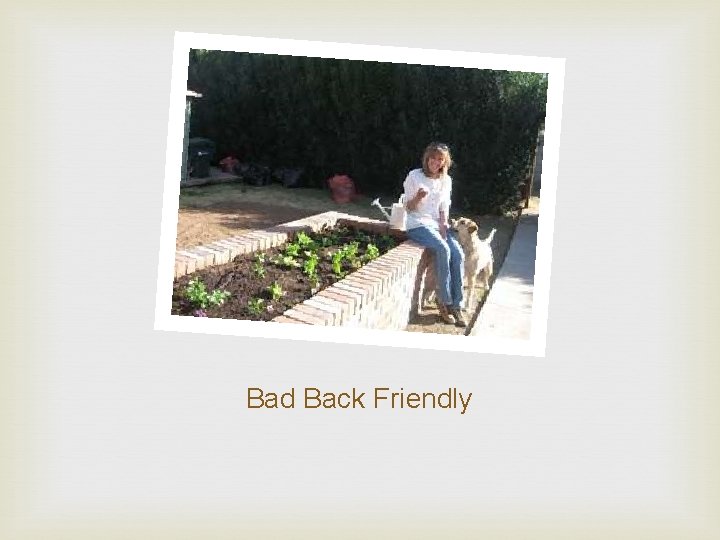 Bad Back Friendly 