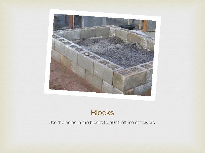 Blocks Use the holes in the blocks to plant lettuce or flowers. 