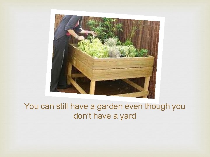 You can still have a garden even though you don’t have a yard 