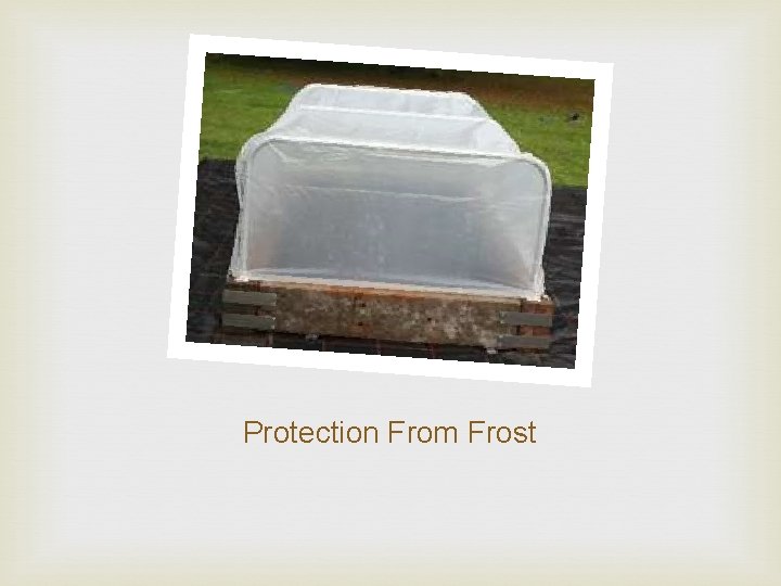 Protection From Frost 