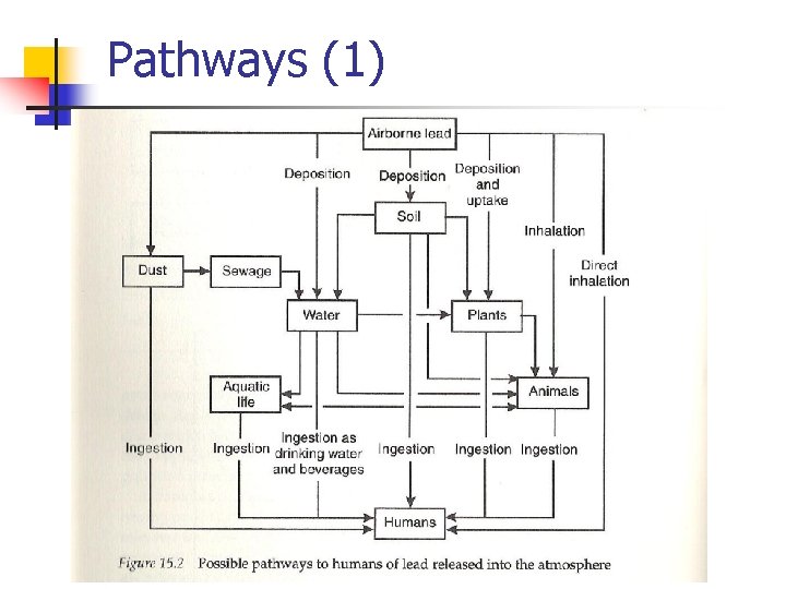 Pathways (1) 