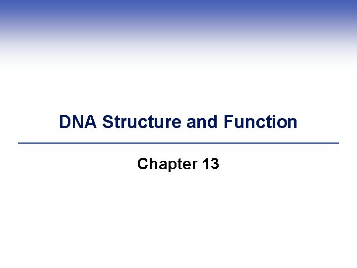 DNA Structure and Function Chapter 13 DNA Structure and Function Chapter 13