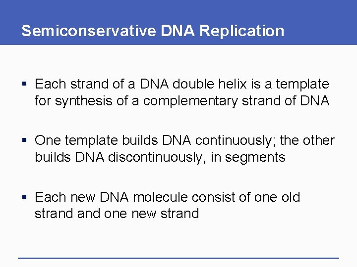 Semiconservative DNA Replication § Each strand of a DNA double helix is a template Semiconservative DNA Replication § Each strand of a DNA double helix is a template
