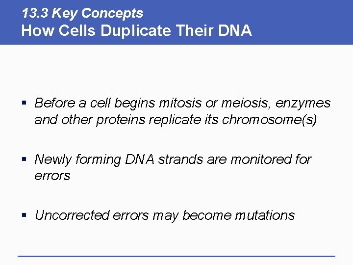 13. 3 Key Concepts How Cells Duplicate Their DNA § Before a cell begins 13. 3 Key Concepts How Cells Duplicate Their DNA § Before a cell begins