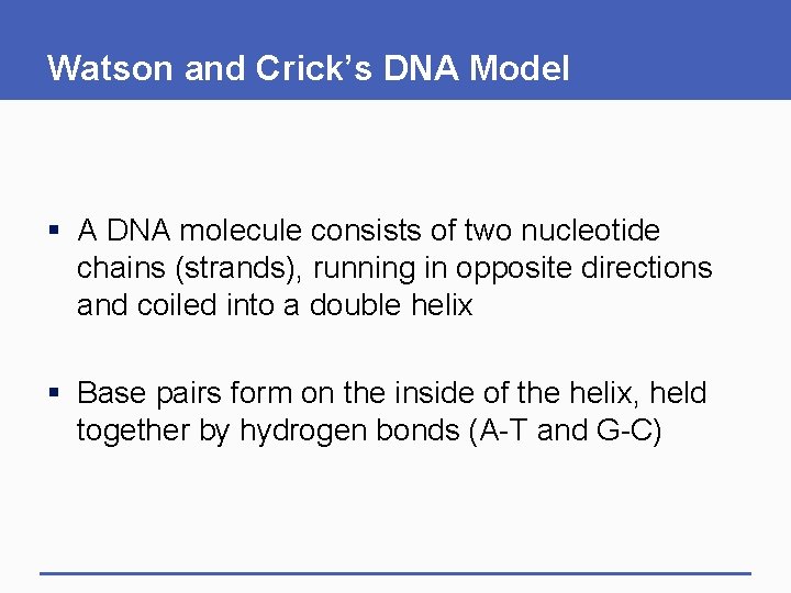 Watson and Crick’s DNA Model § A DNA molecule consists of two nucleotide chains Watson and Crick’s DNA Model § A DNA molecule consists of two nucleotide chains
