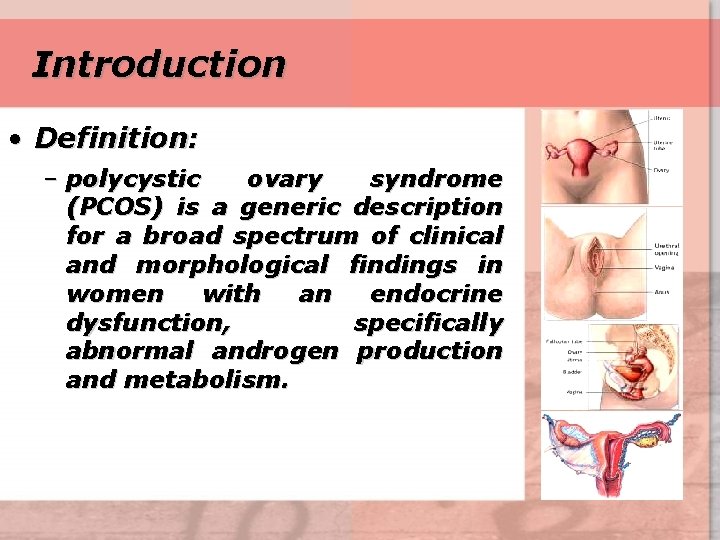 Introduction • Definition: – polycystic ovary syndrome (PCOS) is a generic description for a