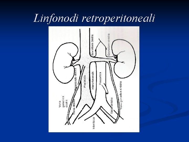 Linfonodi retroperitoneali 