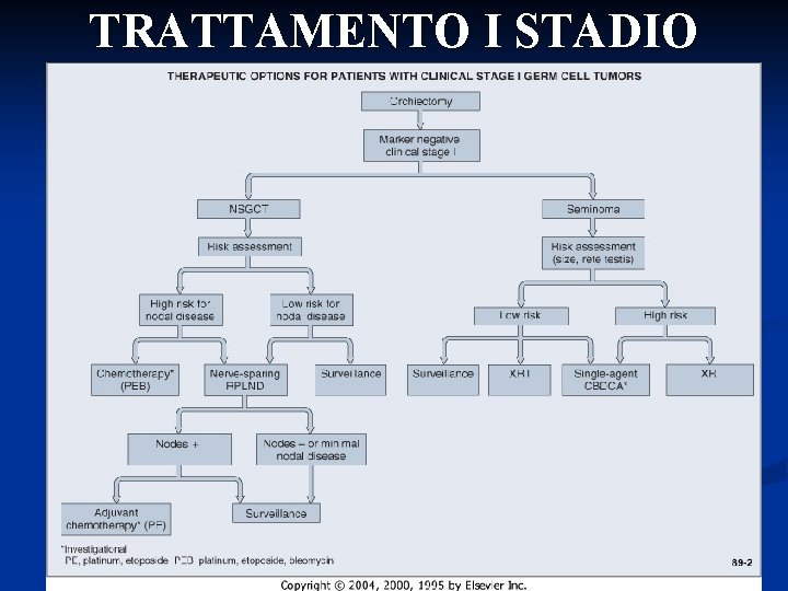 TRATTAMENTO I STADIO 