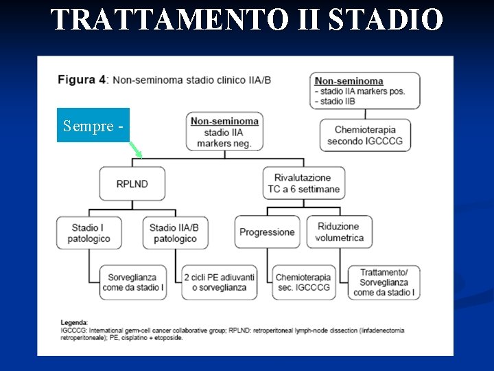 TRATTAMENTO II STADIO Sempre - 