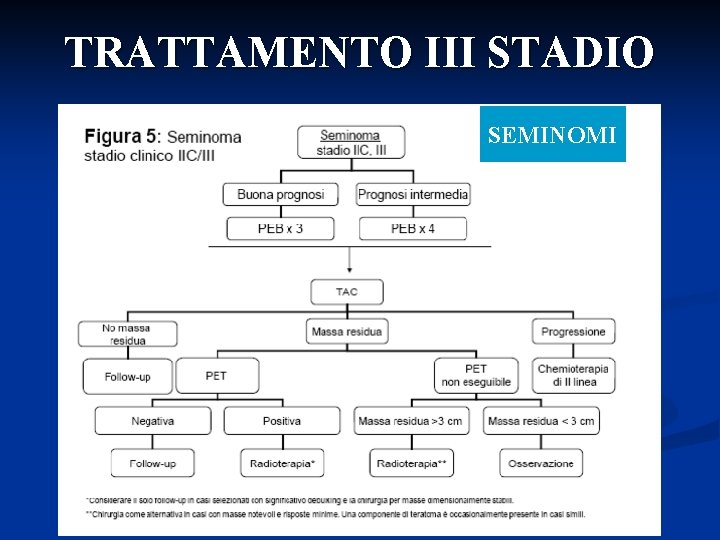 TRATTAMENTO III STADIO SEMINOMI 