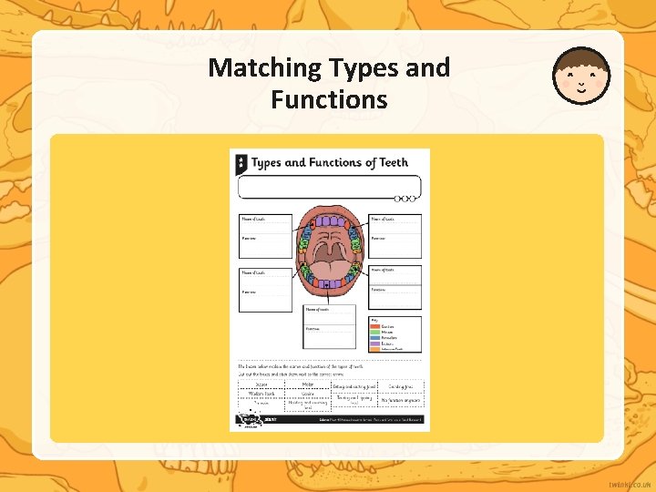 Matching Types and Functions 