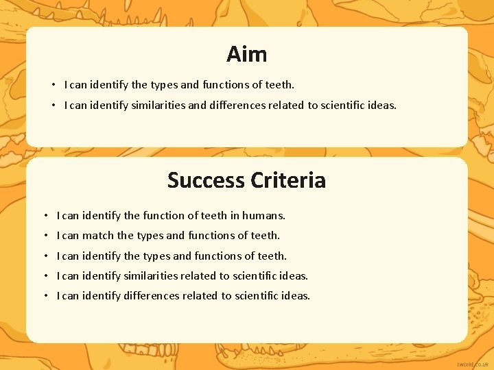 Aim • I can identify the types and functions of teeth. • I can