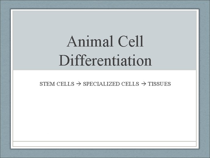 Animal Cell Differentiation STEM CELLS SPECIALIZED CELLS TISSUES 