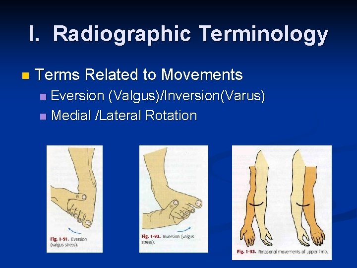 I. Radiographic Terminology n Terms Related to Movements Eversion (Valgus)/Inversion(Varus) n Medial /Lateral Rotation