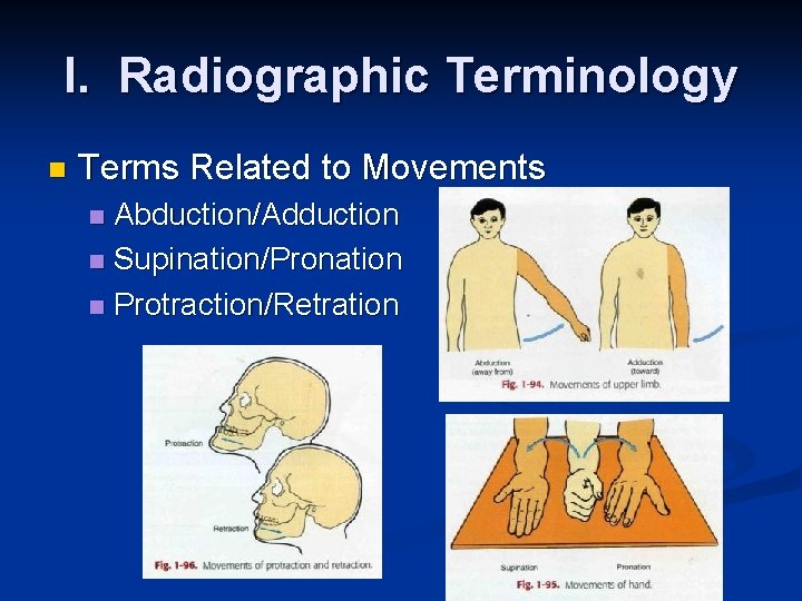 I. Radiographic Terminology n Terms Related to Movements Abduction/Adduction n Supination/Pronation n Protraction/Retration n