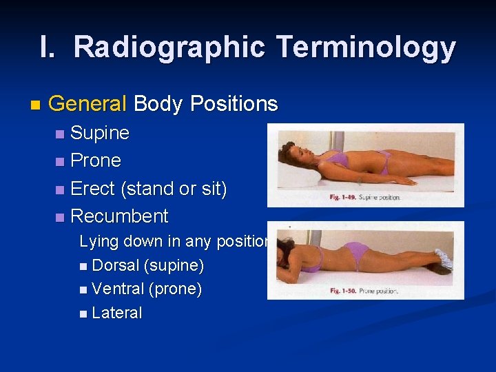 I. Radiographic Terminology n General Body Positions Supine n Prone n Erect (stand or