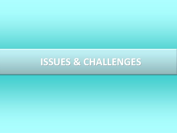 ISSUES & CHALLENGES 