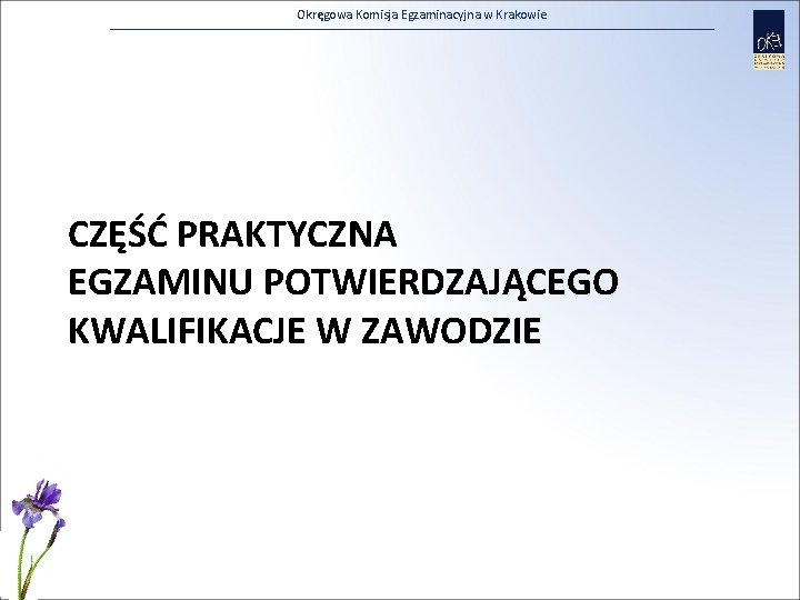 Okręgowa Komisja Egzaminacyjna w Krakowie CZĘŚĆ PRAKTYCZNA EGZAMINU POTWIERDZAJĄCEGO KWALIFIKACJE W ZAWODZIE 