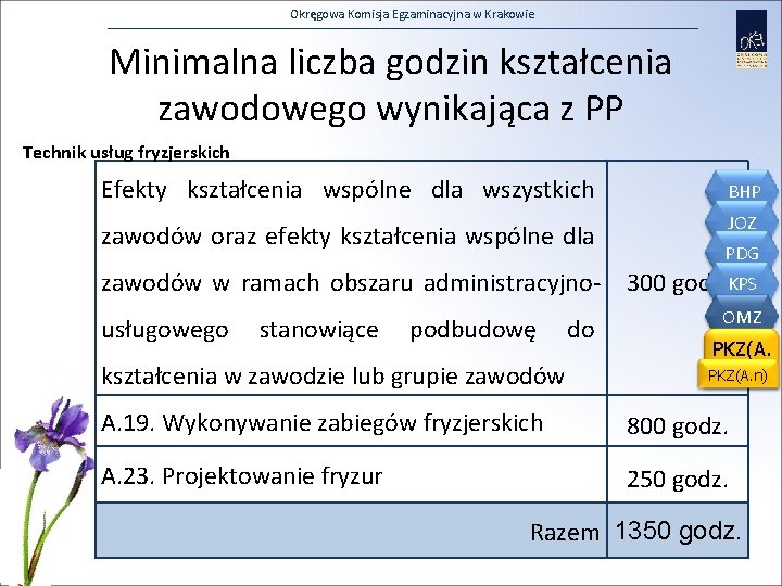 Okręgowa Komisja Egzaminacyjna w Krakowie Minimalna liczba godzin kształcenia zawodowego wynikająca z PP Technik
