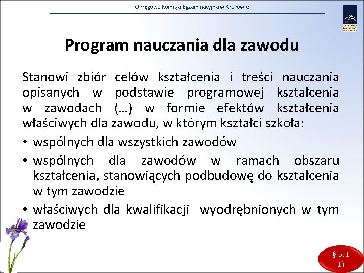 Okręgowa Komisja Egzaminacyjna w Krakowie Program nauczania dla zawodu Stanowi zbiór celów kształcenia i