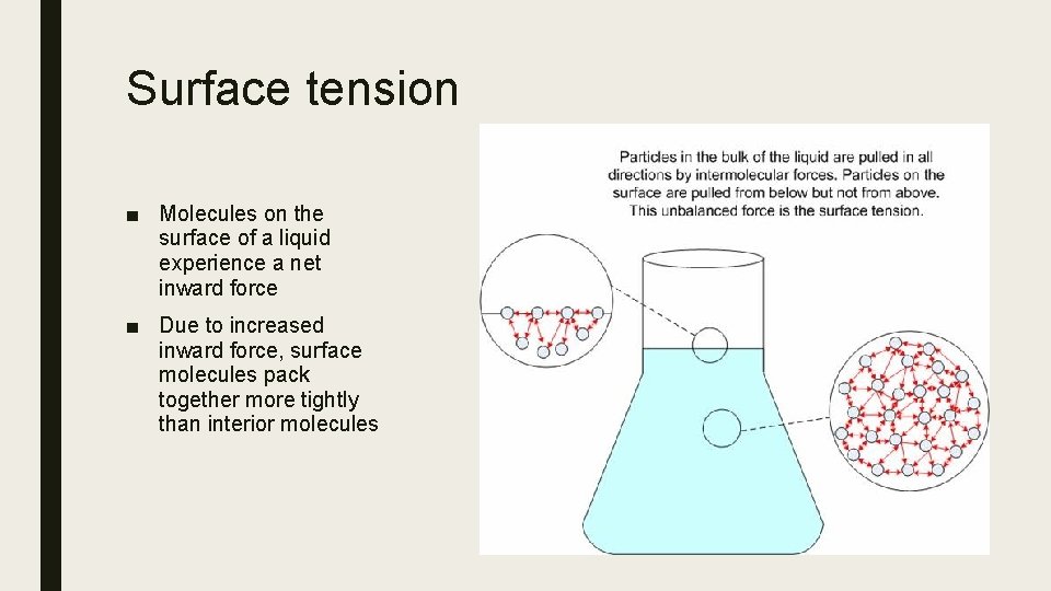 Surface tension ■ Molecules on the surface of a liquid experience a net inward