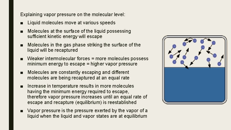 Explaining vapor pressure on the molecular level: ■ Liquid molecules move at various speeds