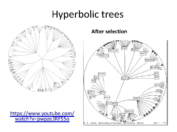 Hyperbolic trees After selection Original https: //www. youtube. com/ watch? v=pwpze 3 RF 55 Hyperbolic trees After selection Original https: //www. youtube. com/ watch? v=pwpze 3 RF 55