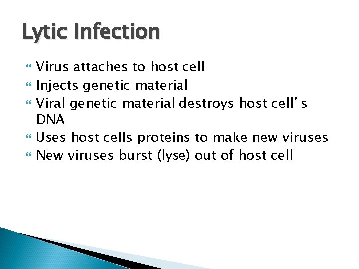 Lytic Infection Virus attaches to host cell Injects genetic material Viral genetic material destroys