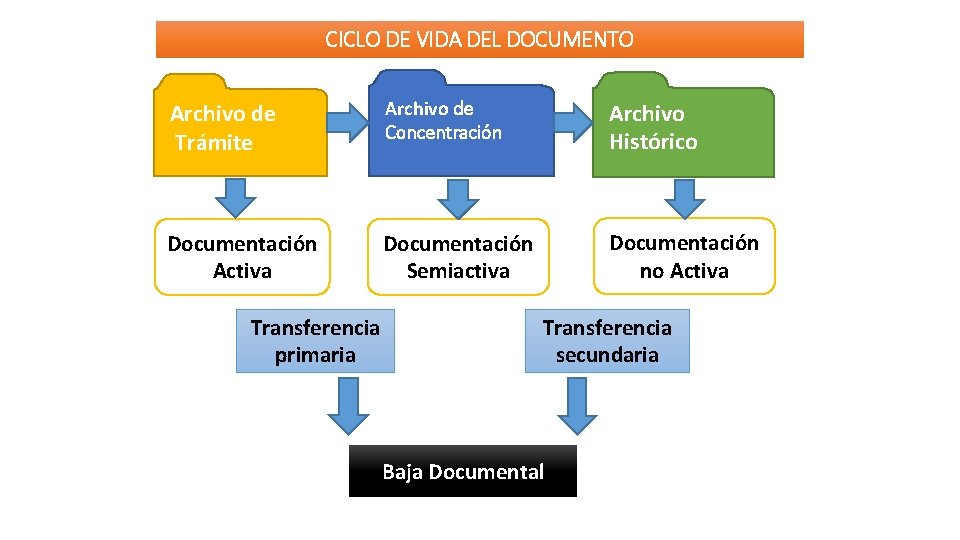 CICLO DE VIDA DEL DOCUMENTO Archivo de Trámite Archivo de Concentración Archivo Histórico Documentación