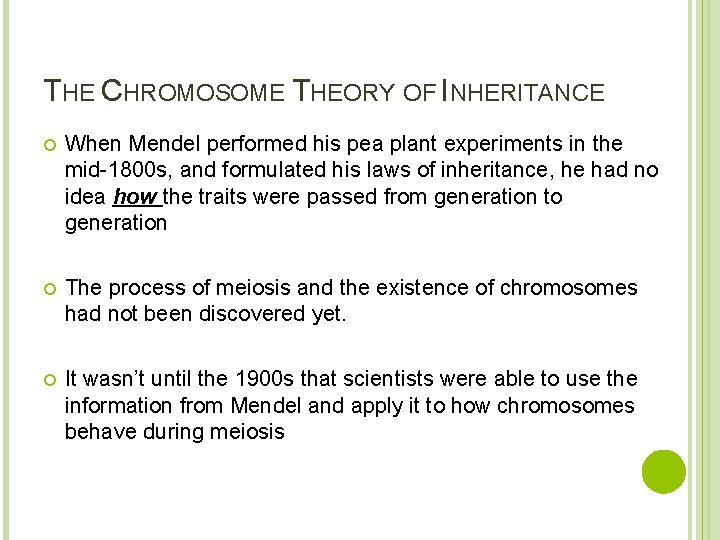 THE CHROMOSOME THEORY OF INHERITANCE When Mendel performed his pea plant experiments in the