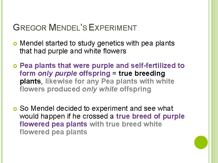 GREGOR MENDEL’S EXPERIMENT Mendel started to study genetics with pea plants that had purple