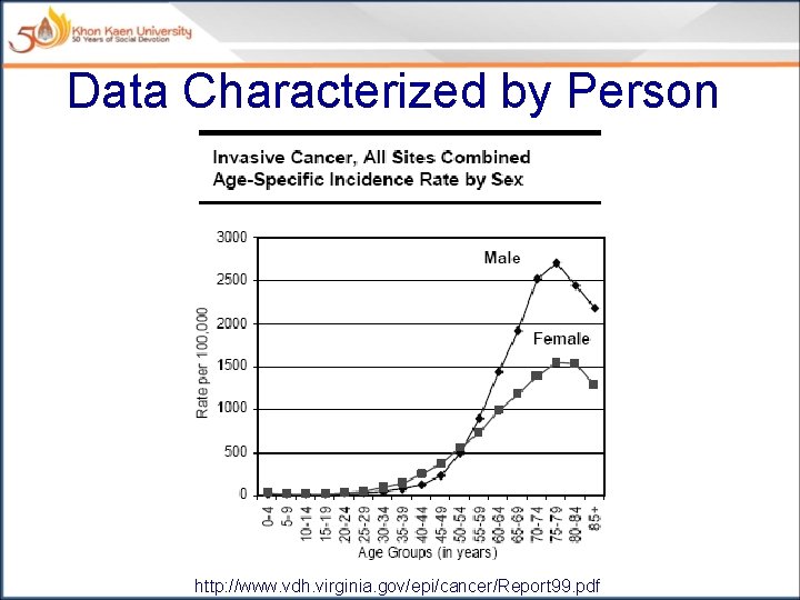 Data Characterized by Person http: //www. vdh. virginia. gov/epi/cancer/Report 99. pdf 