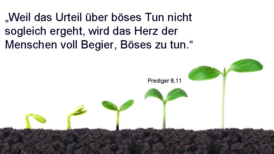 „Weil das Urteil über böses Tun nicht sogleich ergeht, wird das Herz der Menschen