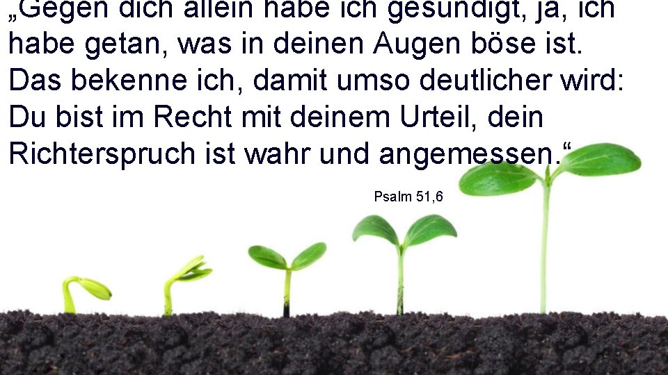 „Gegen dich allein habe ich gesündigt, ja, ich habe getan, was in deinen Augen