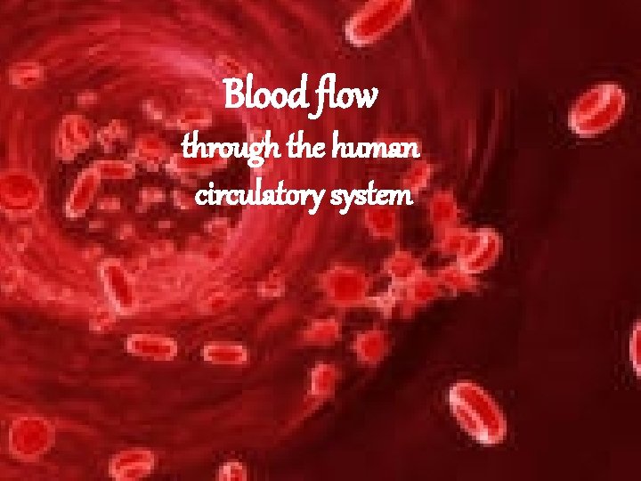 Blood flow through the human circulatory system 