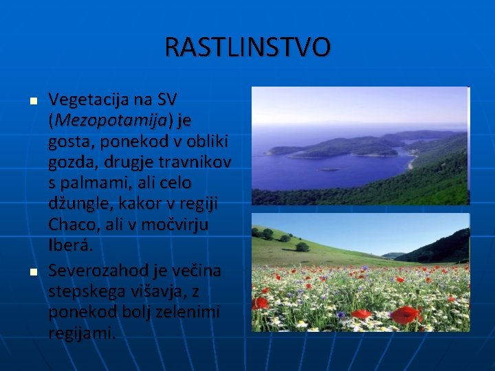 RASTLINSTVO n n Vegetacija na SV (Mezopotamija) je gosta, ponekod v obliki gozda, drugje