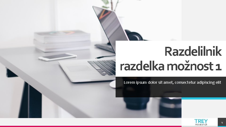 Razdelilnik razdelka možnost 1 Lorem ipsum dolor sit amet, consectetur adipiscing elit TREY research