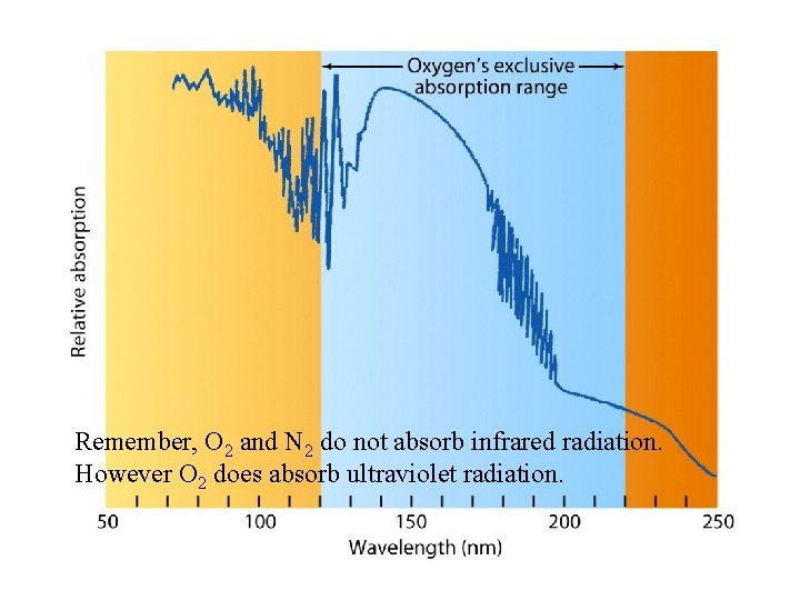 Remember, O 2 and N 2 do not absorb infrared radiation. However O 2